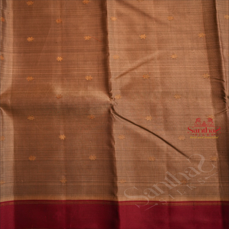 GREY COLOUR BODY WITH GOLDEN ZARI SMALL BUTTAS AND CONTRAST PALLU & BLOUSE