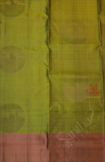 AVOCADO GREEN COLOUR BODY WITH TREE NEEM ZARI WITH CONTRAST BLOUSE & BORDER